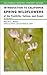 Introduction to California Spring Wildflowers of the Foothill... by Philip A. Munz