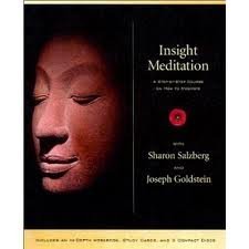 Insight Meditation Workbook (Spiral-bound)
