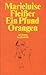 Ein Pfund Orangen
