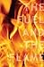 The Fuel and The Flame by Steve Shadrach
