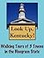 Look Up, Kentucky! Walking Tours of 3 Towns In The Bluegrass State (Look Up, America! Series)