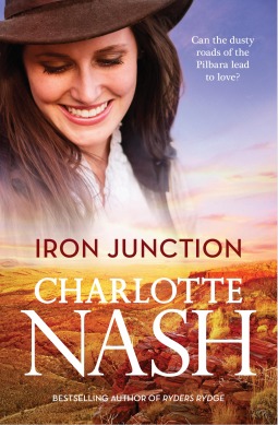 Iron Junction (Paperback)