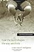 How the Body Shapes the Way We Think: A New View of Intelligence (A Bradford Book)