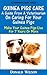 Guinea Pigs Care : A Guide From A Veterinarian On Caring For Your Guinea Pigs Make Your Guinea Pigs Live For 7 Years Or More