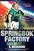 Springbok Factory: What it ...