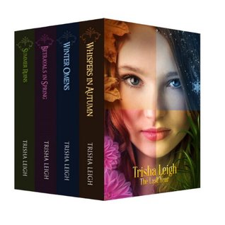 The Last Year Boxed Set (The Last Year, #1-4)