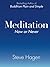 Meditation Now or Never: A ...