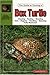 The Guide To Owning A Box Turtle