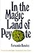 In the magic land of peyote (Texas pan-American series)