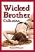 Wicked Brother Collection by Raquel Rogue