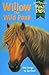 Willow the Wild Pony (Jenny Dale's Pony Tales, #8)