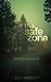 The Safe Zone