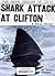 The Mean Season of 1976: Shark Attack at Clifton