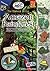 The Mystery in the Amazon Rainforest: South America (Around the World in 80 Mysteries)