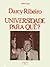 Universidade para quê?