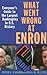 What Went Wrong at Enron: Everyone's Guide to the Largest Bankruptcy in U.S. History
