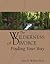 The Wilderness of Divorce: Finding Your Way (Transcending Divorce)