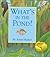 What's in the Pond? (Hidden Life)