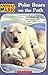 Polar Bears On The Path (An...