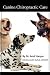Chiropractic Care for Dogs
