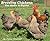 Breeding Chickens - the Basics and Beyond by Helen Crapnell