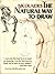 The Natural Way to Draw: A Working Plan For Art Study