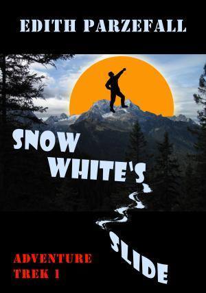 Snow White's Slide (Adventure Trek 1)