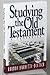 Studying the Old Testament by Rhonda Burnette-bletsch