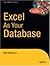Excel as Your Database