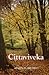 Cittaviveka: Teachings from the Silent Mind