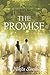 The Promise by Nikita Singh