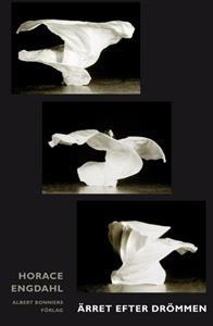 Ärret efter drömmen: Essäer och artiklar 1989-2004 (Hardcover)