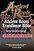 Aramaic NT with Hebrew Strong's Numbers (Ancient Roots Translinear Bible Book 4)