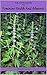 Herbs And Essential Oils Fo...