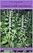 Herbs And Essential Oils For Feminine Health And Ailments by Elizabeth Summers