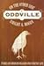 On the Other Side of Oddville: Stories on American Religion and Everyday Life