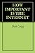 HOW IMPORTANT IS THE INTERNET by Dick Grigg