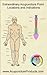Extraordinary Acupuncture P...
