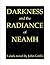 Darkness and the Radiance of Neamh (Darkness, #2)
