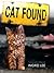 Cat Found