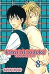 Kimi ni Todoke by Karuho Shiina