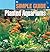 Simple Guide to Planted Aquariums (Simple Guide To. . .)