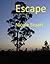 Escape by Nicole Stuart