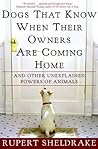 Dogs That Know When Their Owners Are Coming Home & Other Unexplained Powers of Animals