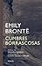 Cumbres borrascosas (Libros del Tiempo nº 254) (Spanish Edition)