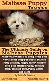 Maltese Puppy Tra...