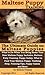 Maltese Puppy Training: The Ultimate Guide on Maltese Puppies, What to Do When You Bring Home Your New Maltese Puppy