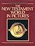 The New Testament World in Pictures 2