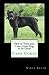 How to Train your Cane Corso Dog to be Good