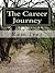 The Career Journey